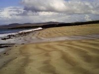Patterns on the Beach